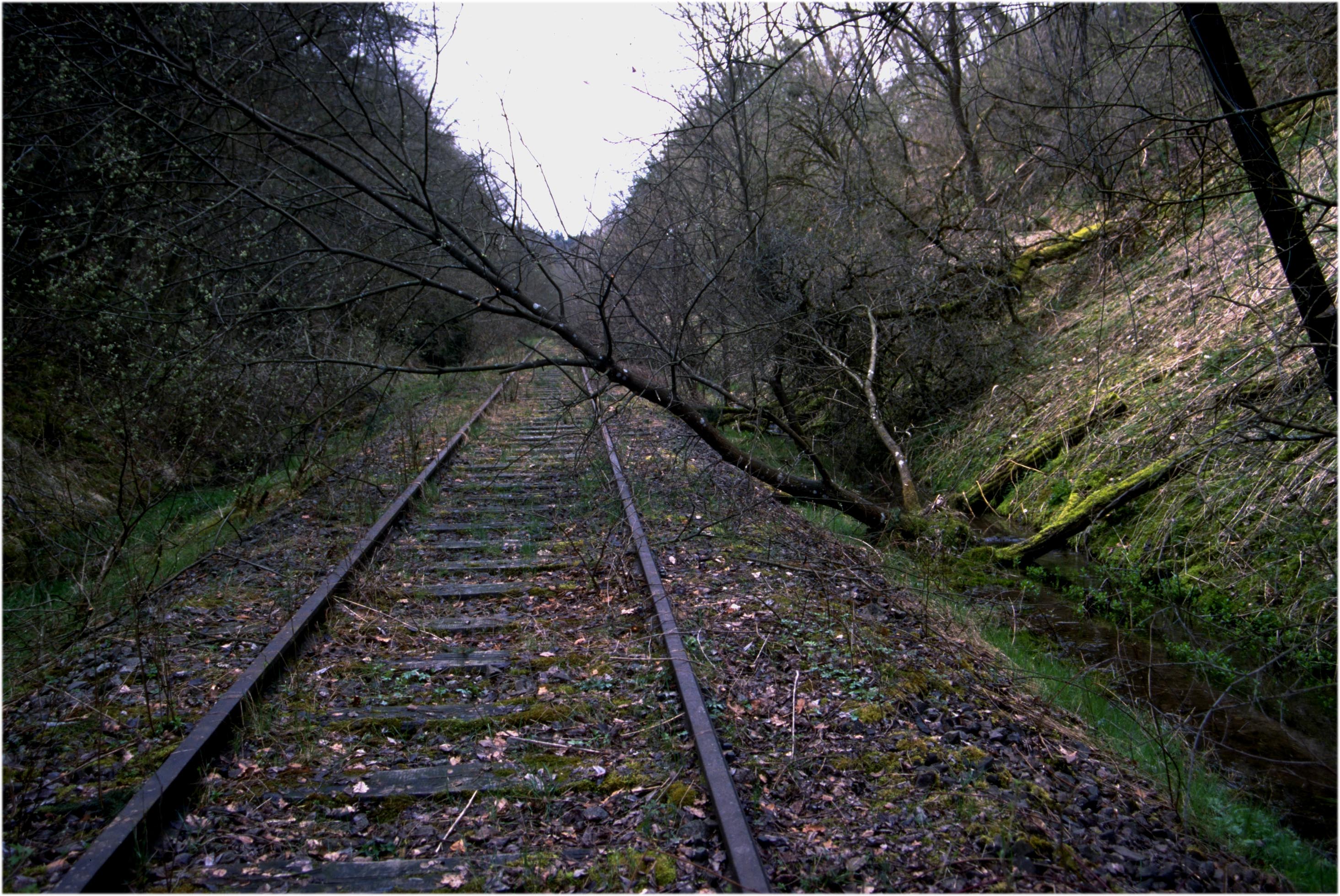 Voreinschnitt zum Forsttunnel