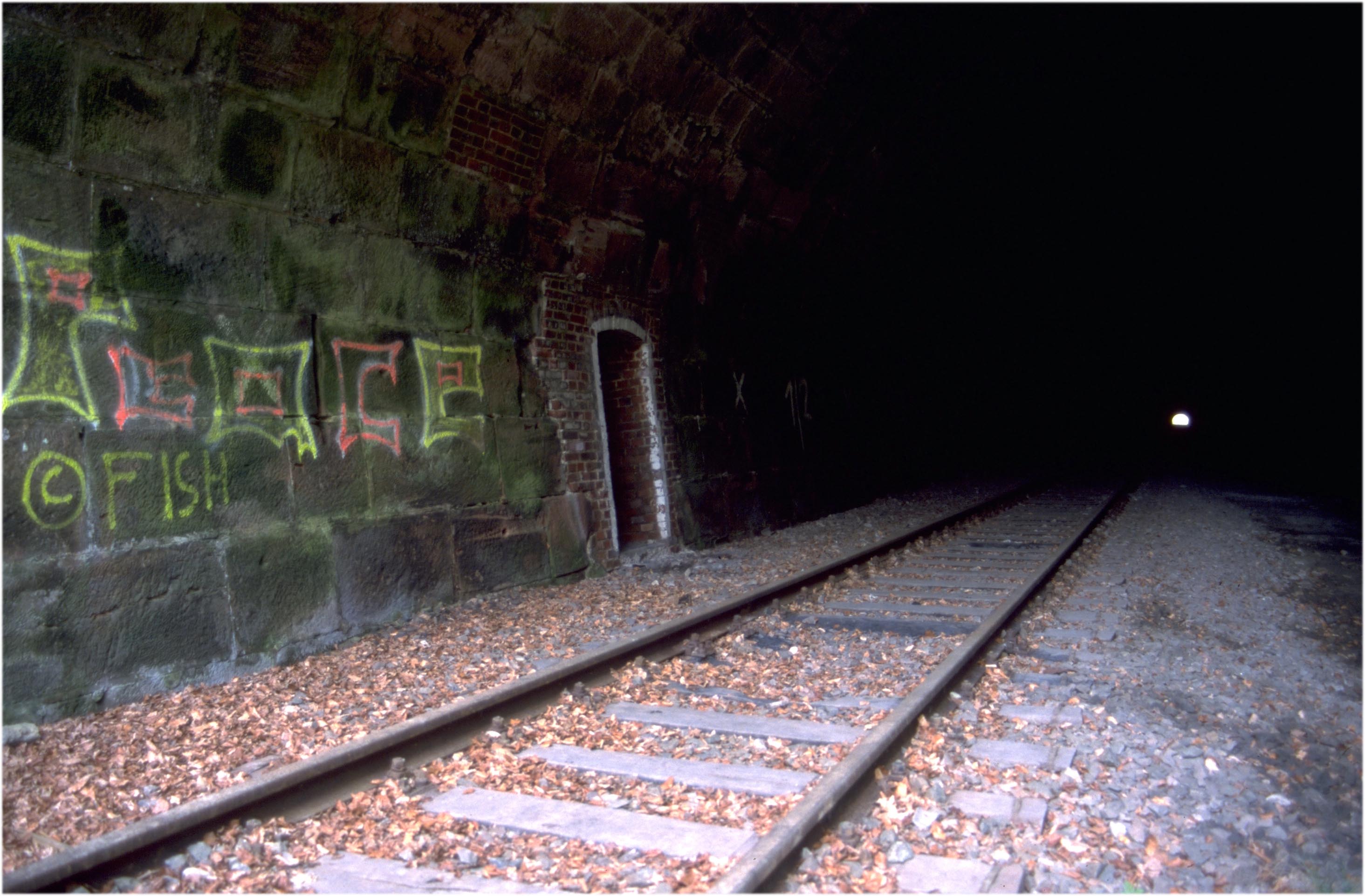 Blick in den Forsttunnel