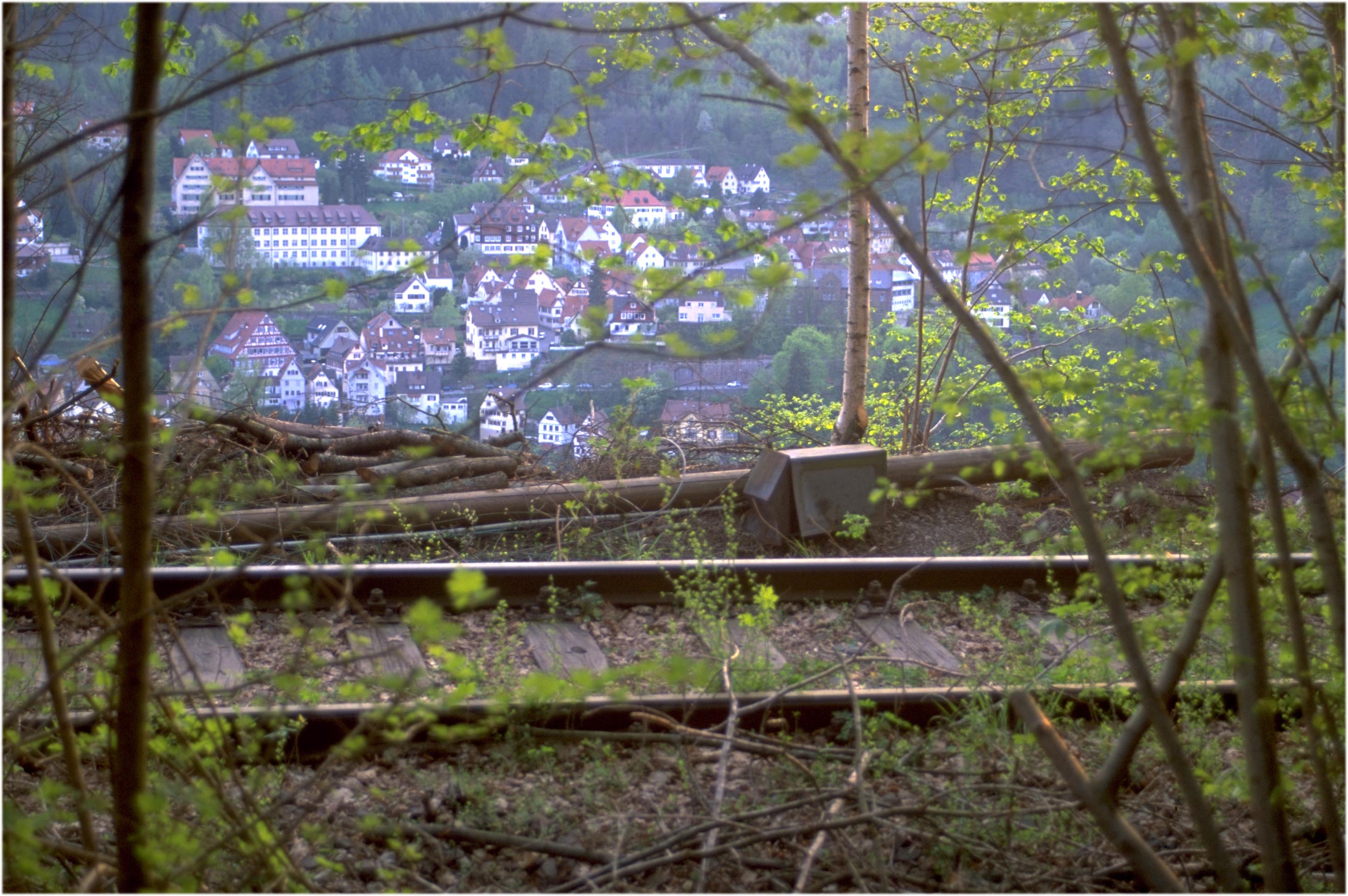 Blick hoch über Calw