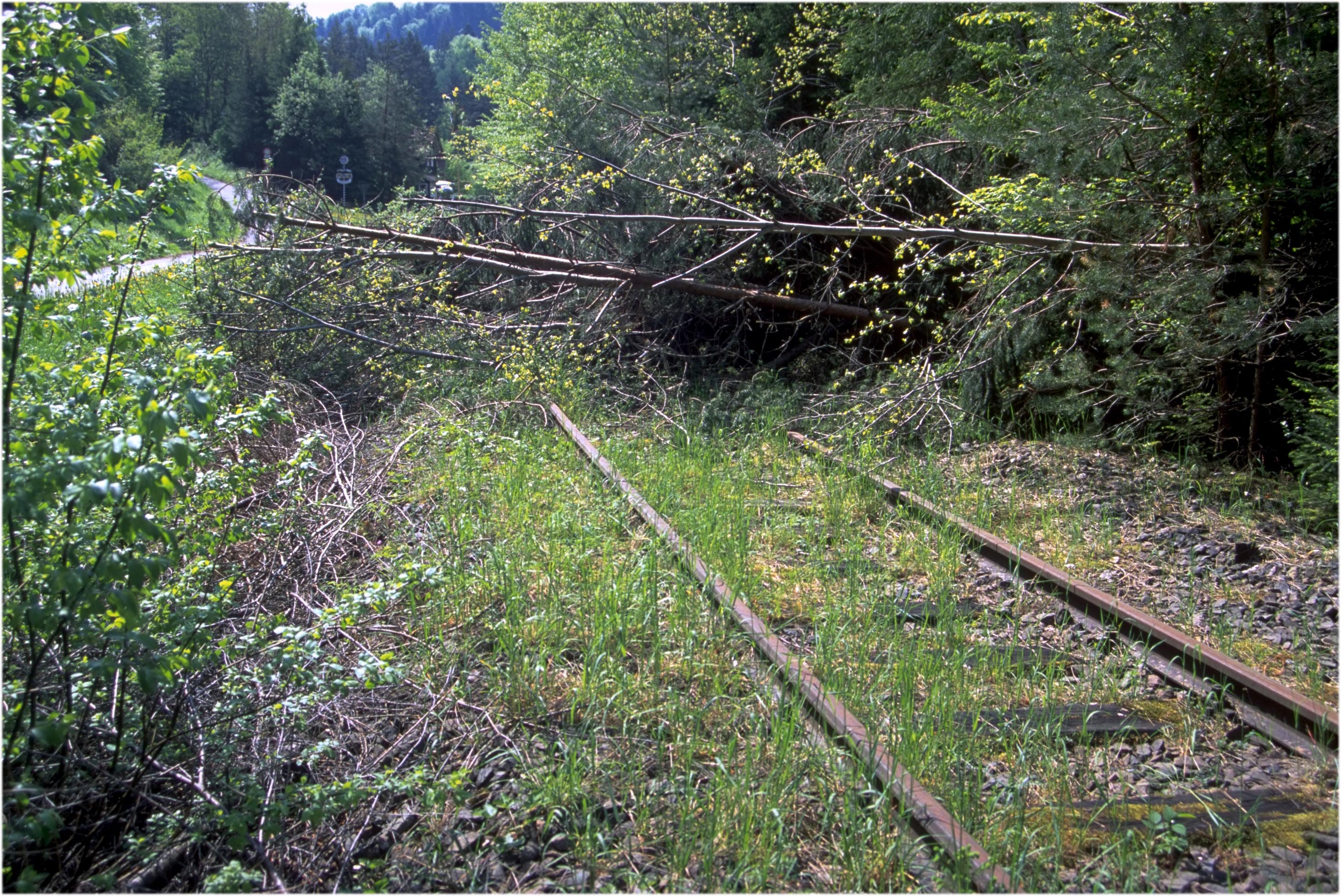 Streckenhindernis bei der Fuchsklinge